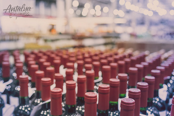 Wholesale alcohol distribution services for international B2B partners